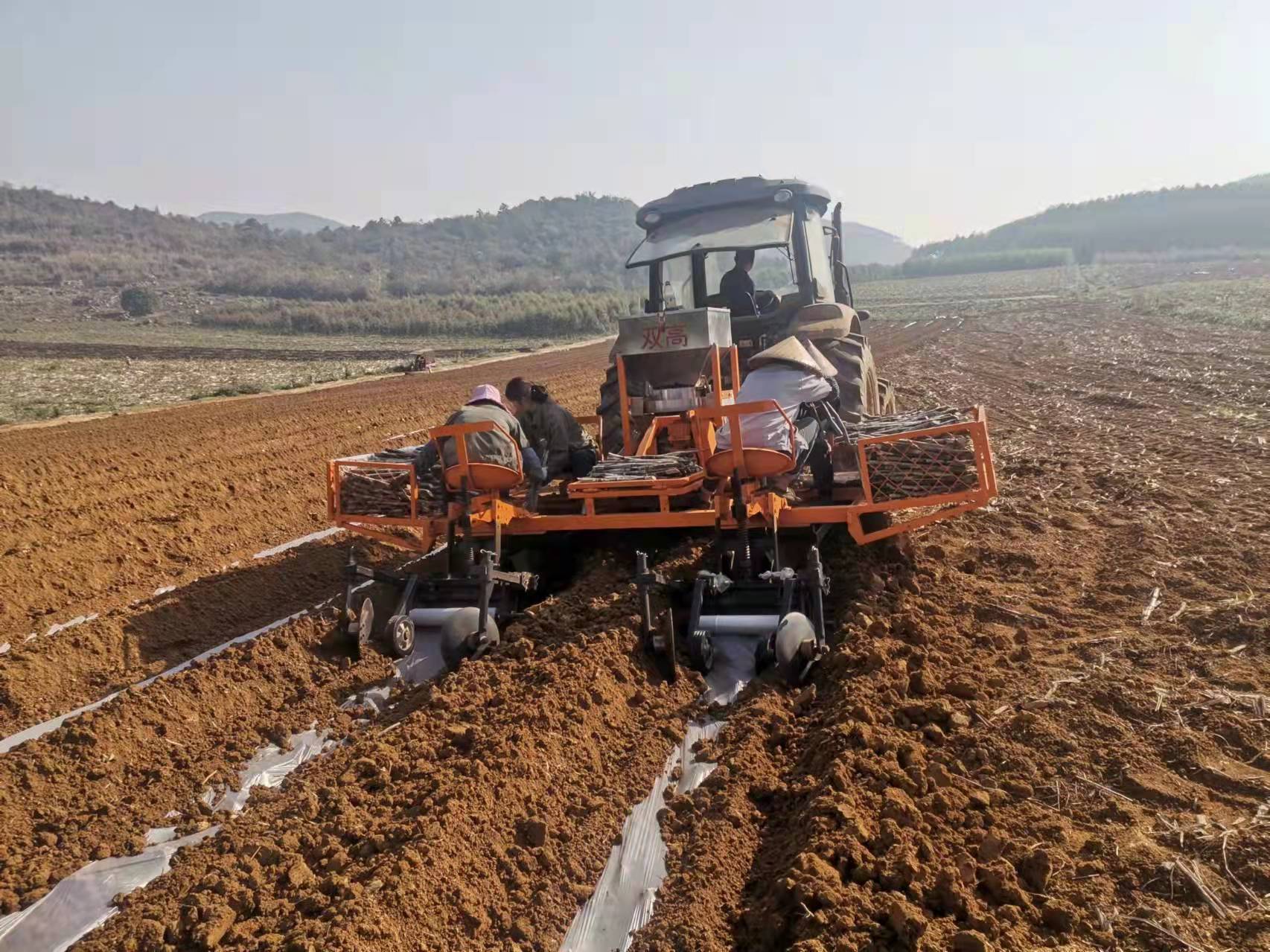 1646786252622839.jpg 機械種植2.jpg