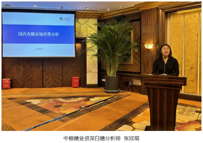 1773703176276574.png image.png